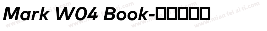 Mark W04 Book字体转换